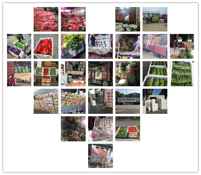 首页| 402cc永利集团中国区官方网站