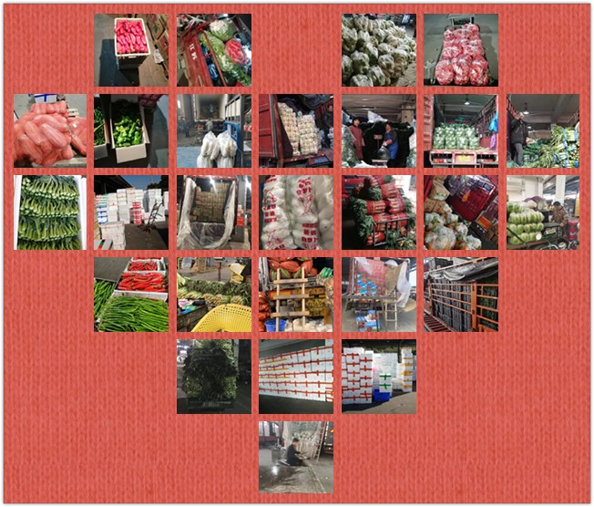 首页| 402cc永利集团中国区官方网站