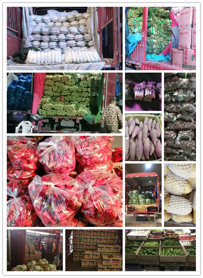 首页| 402cc永利集团中国区官方网站