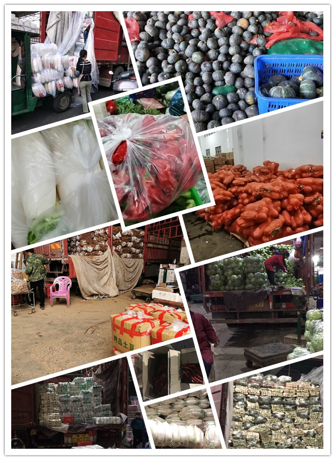 首页| 402cc永利集团中国区官方网站