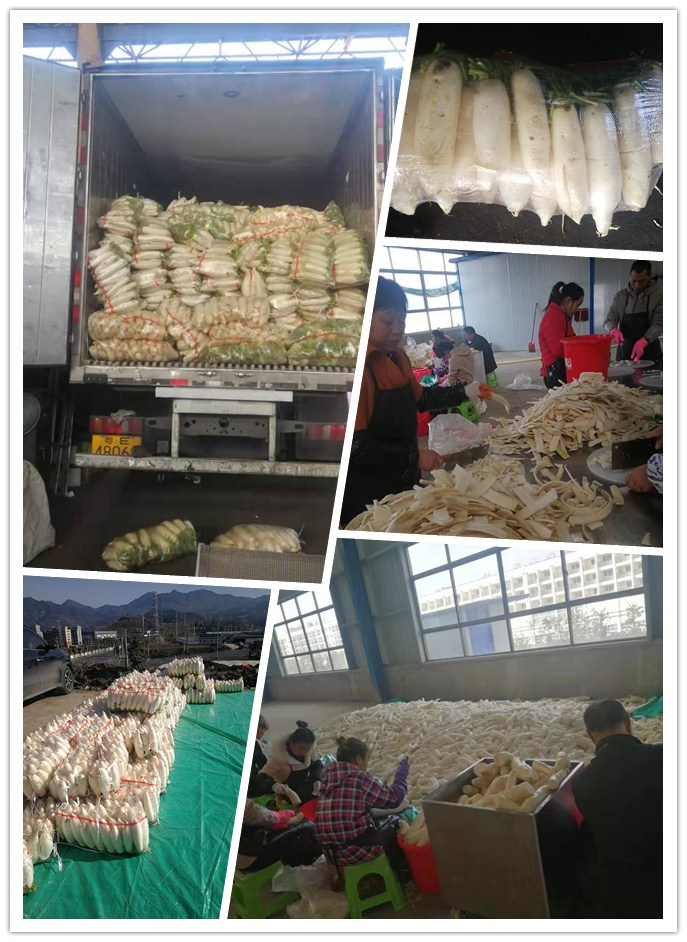 首页| 402cc永利集团中国区官方网站