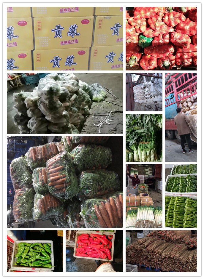 首页| 402cc永利集团中国区官方网站