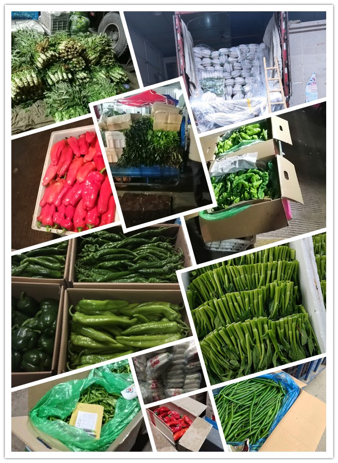 首页| 402cc永利集团中国区官方网站