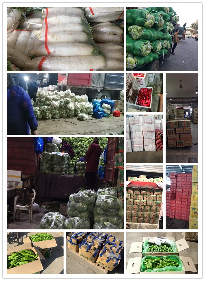 首页| 402cc永利集团中国区官方网站