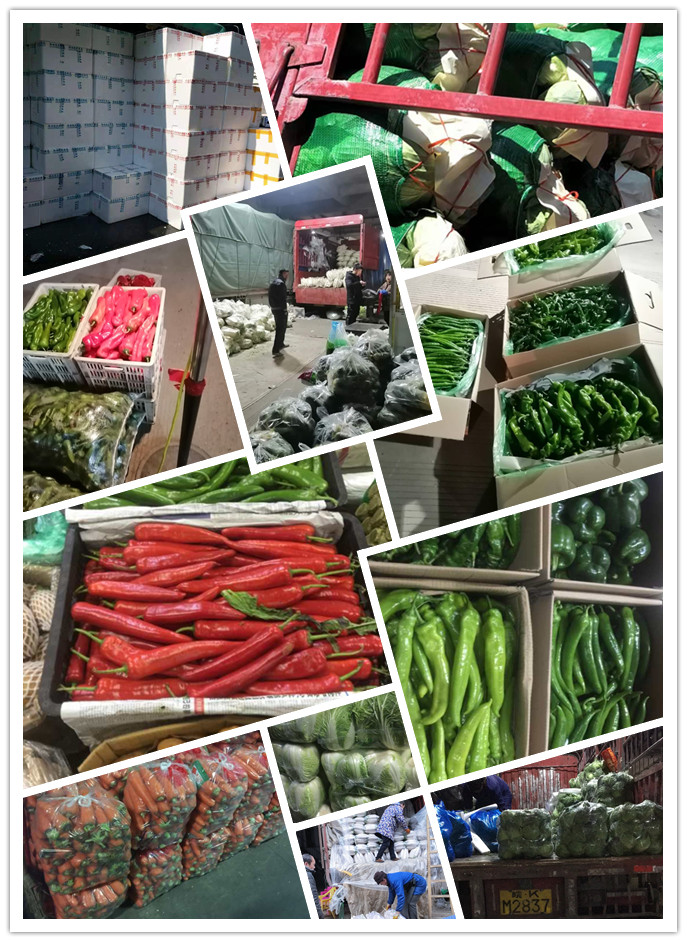 首页| 402cc永利集团中国区官方网站