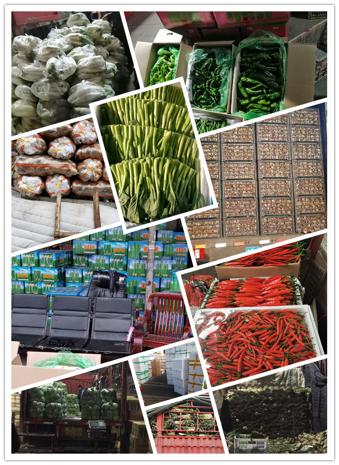 首页| 402cc永利集团中国区官方网站