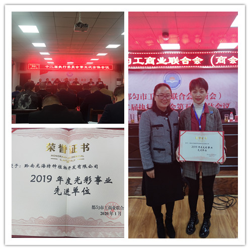 首页| 402cc永利集团中国区官方网站