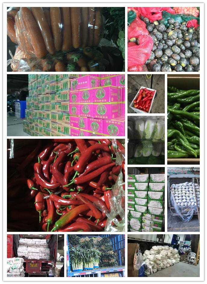 首页| 402cc永利集团中国区官方网站