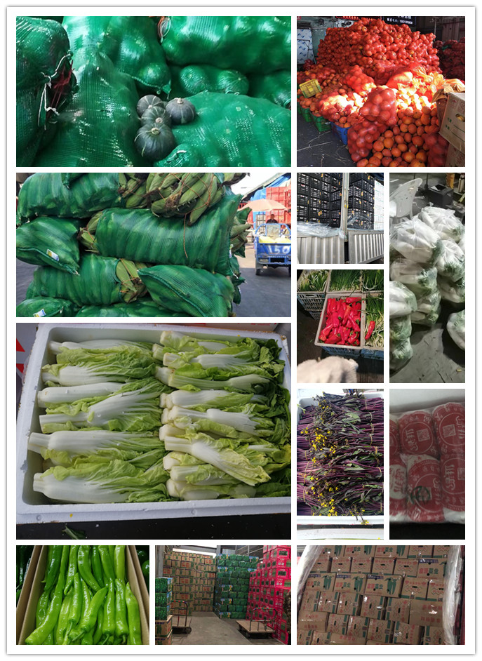 首页| 402cc永利集团中国区官方网站