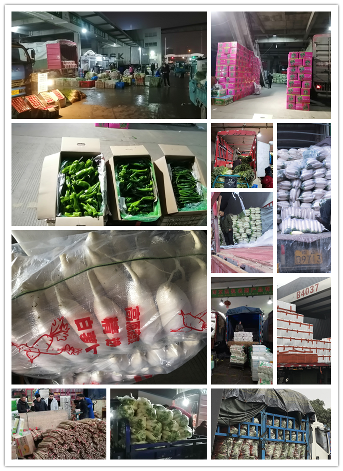 首页| 402cc永利集团中国区官方网站