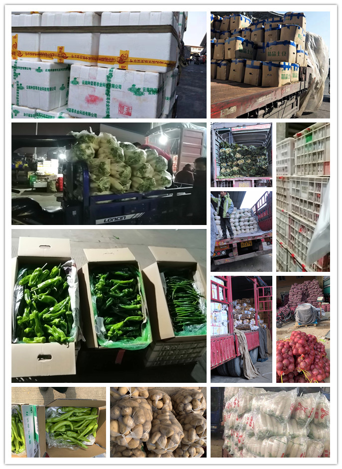 首页| 402cc永利集团中国区官方网站