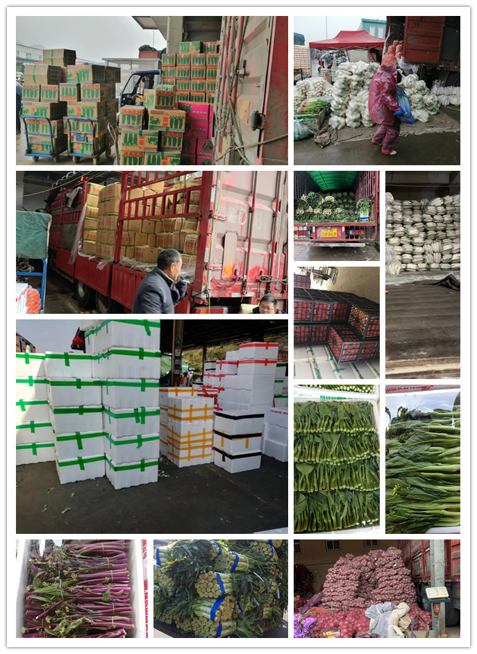 首页| 402cc永利集团中国区官方网站