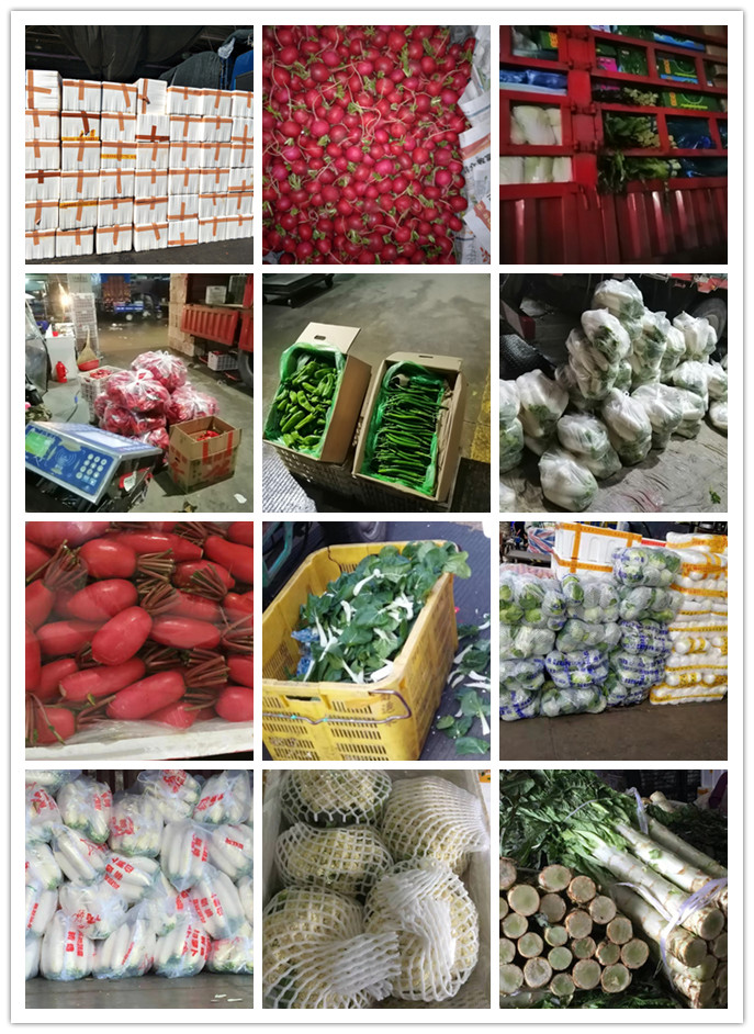 首页| 402cc永利集团中国区官方网站