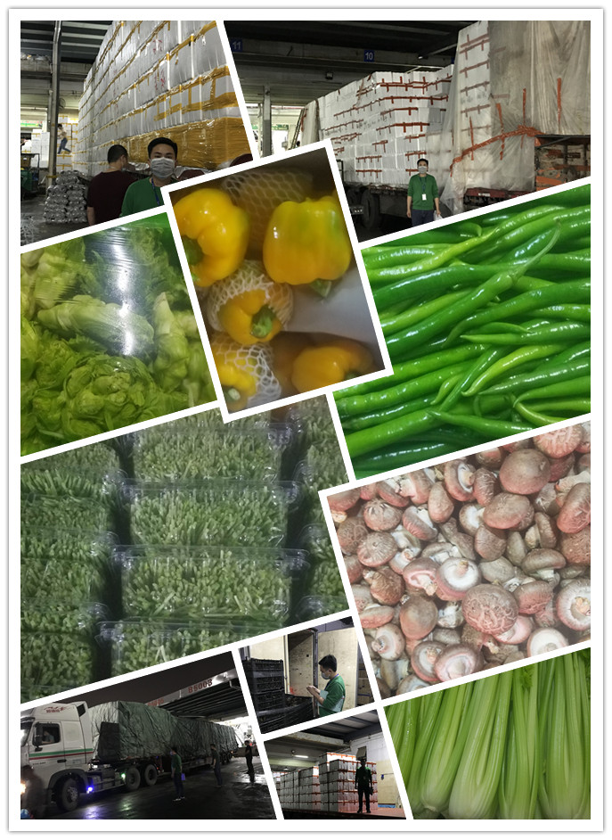 首页| 402cc永利集团中国区官方网站