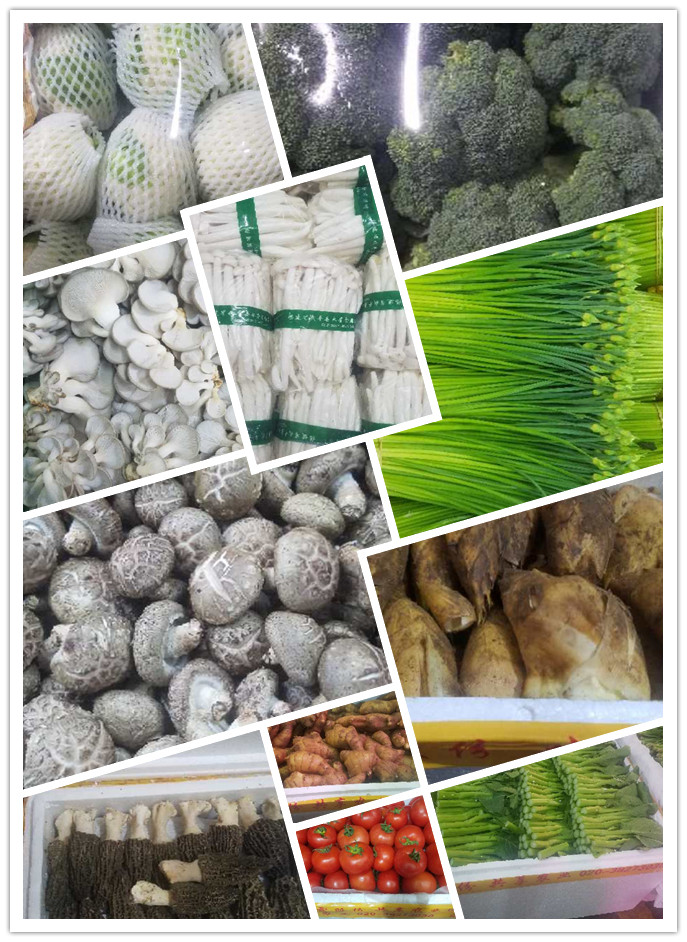 首页| 402cc永利集团中国区官方网站