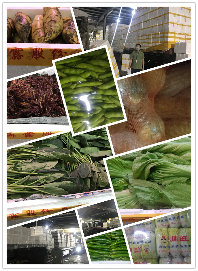 首页| 402cc永利集团中国区官方网站