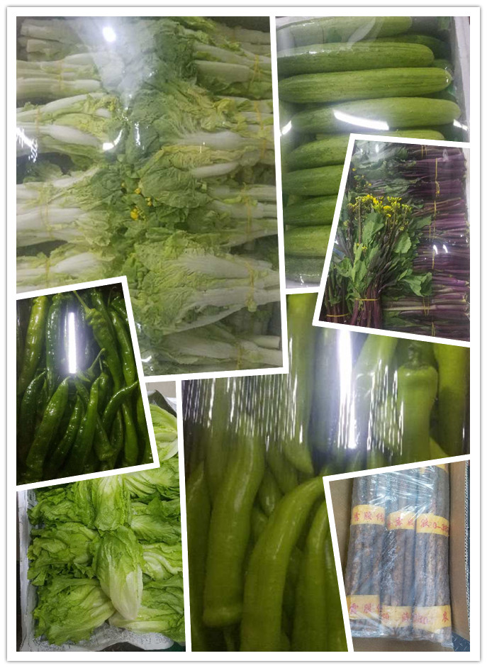 首页| 402cc永利集团中国区官方网站