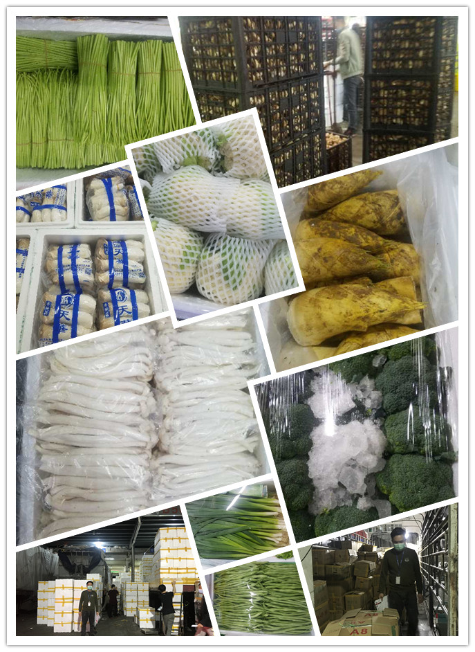 首页| 402cc永利集团中国区官方网站