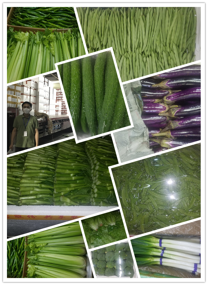 首页| 402cc永利集团中国区官方网站