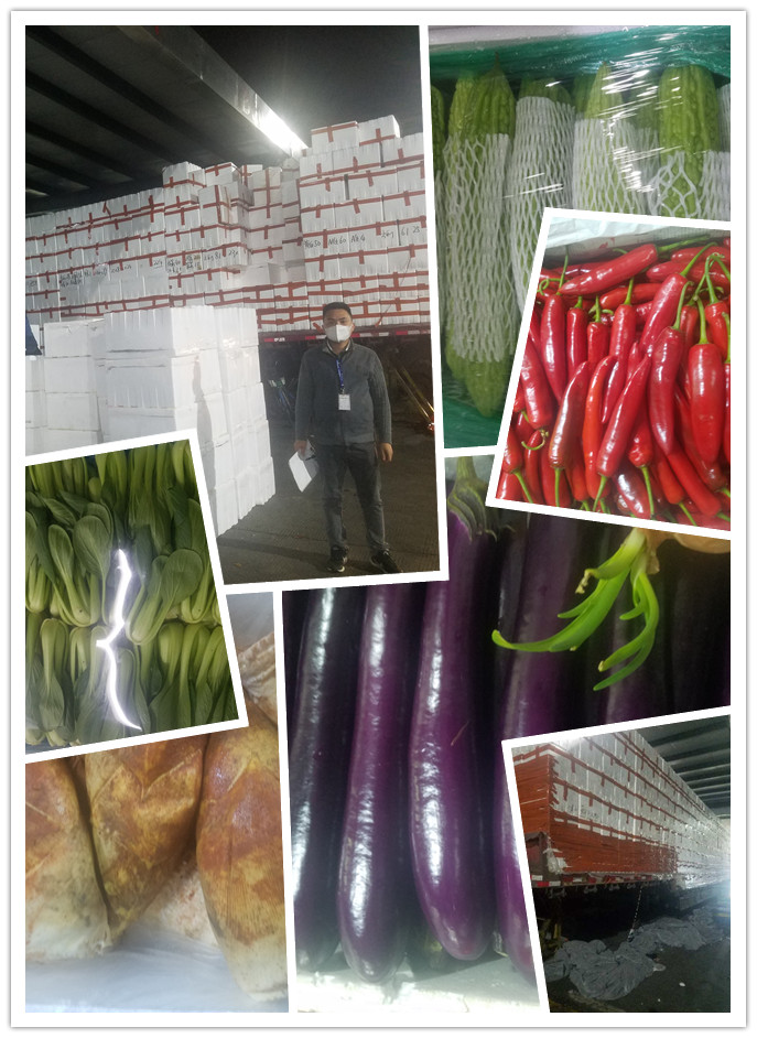 首页| 402cc永利集团中国区官方网站