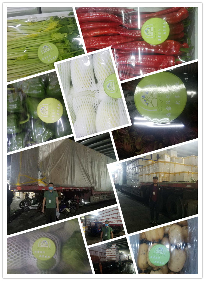 首页| 402cc永利集团中国区官方网站