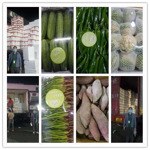 首页| 402cc永利集团中国区官方网站