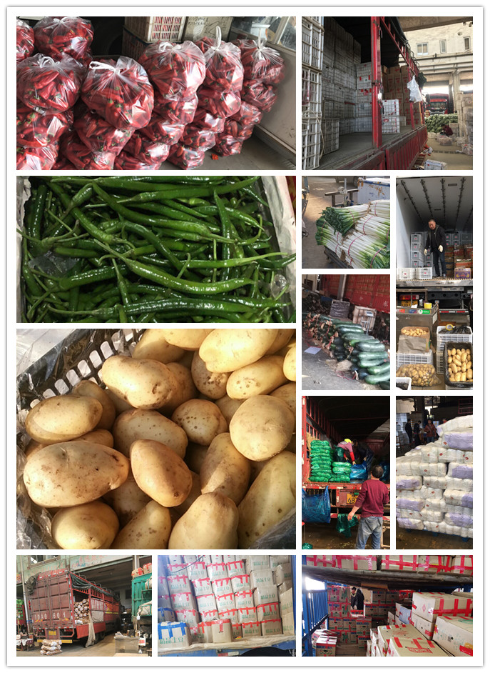 首页| 402cc永利集团中国区官方网站