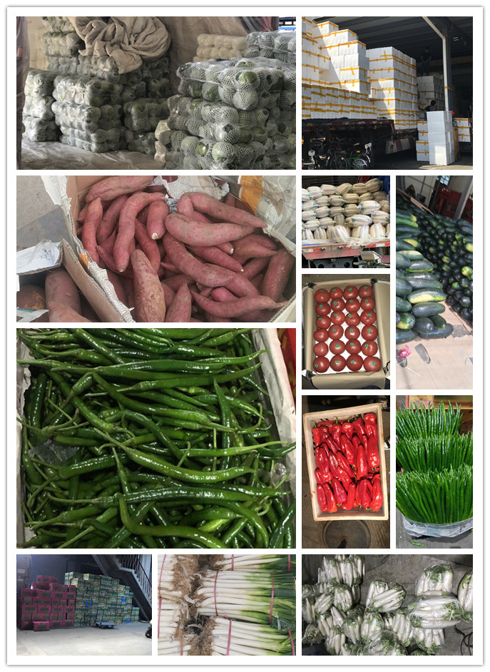 首页| 402cc永利集团中国区官方网站