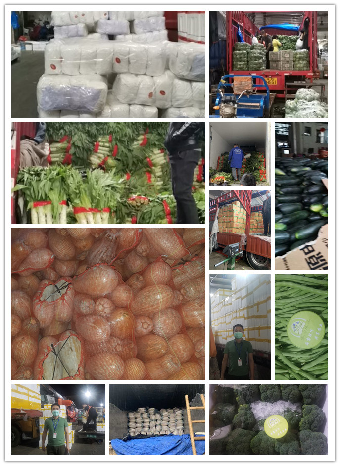 首页| 402cc永利集团中国区官方网站