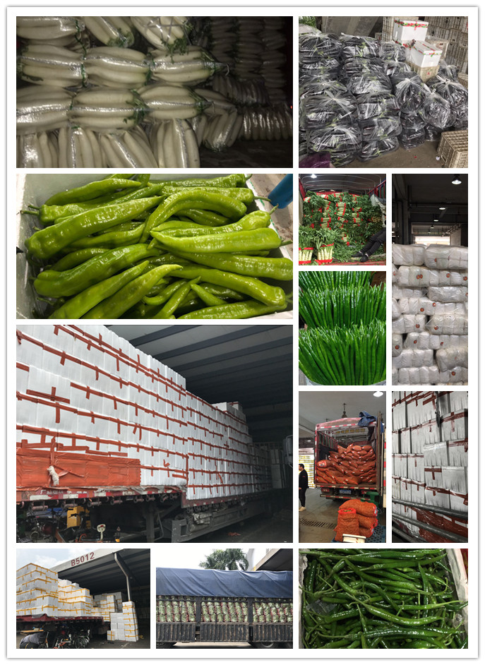 首页| 402cc永利集团中国区官方网站