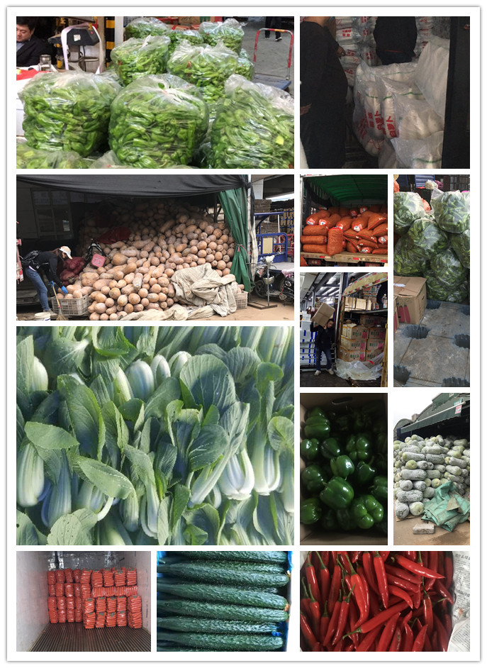 首页| 402cc永利集团中国区官方网站