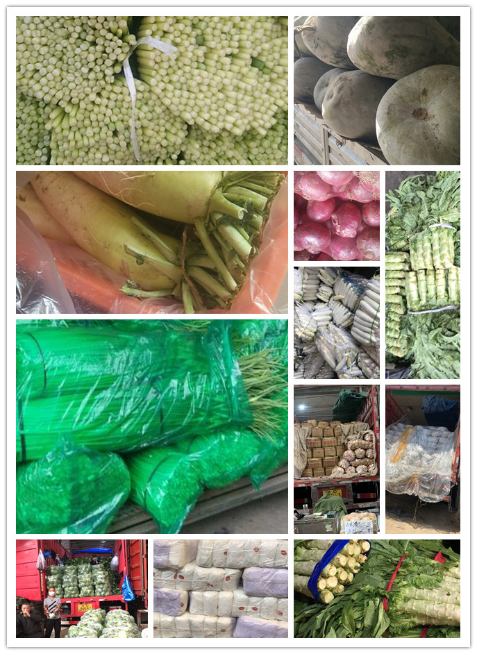 首页| 402cc永利集团中国区官方网站