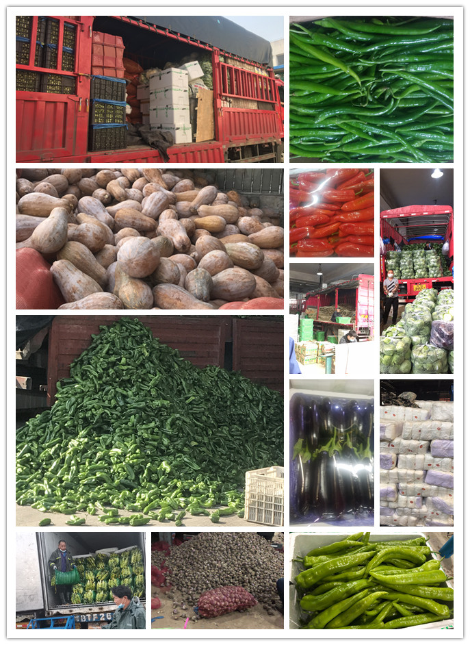 首页| 402cc永利集团中国区官方网站