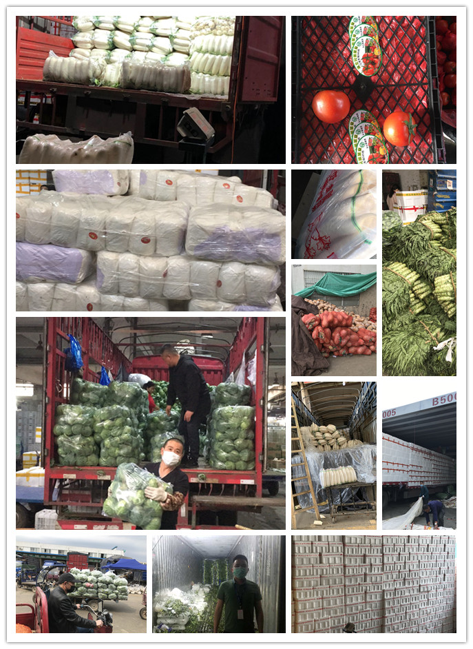 首页| 402cc永利集团中国区官方网站