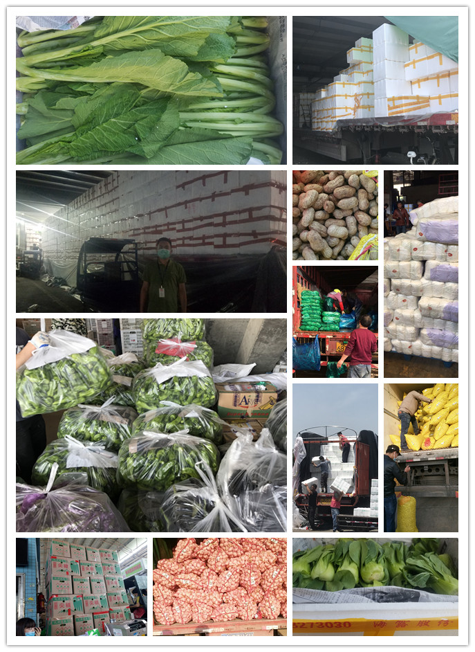 首页| 402cc永利集团中国区官方网站