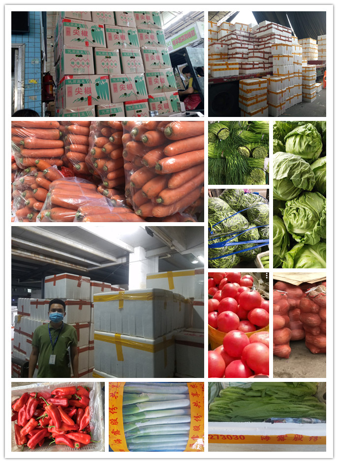 首页| 402cc永利集团中国区官方网站