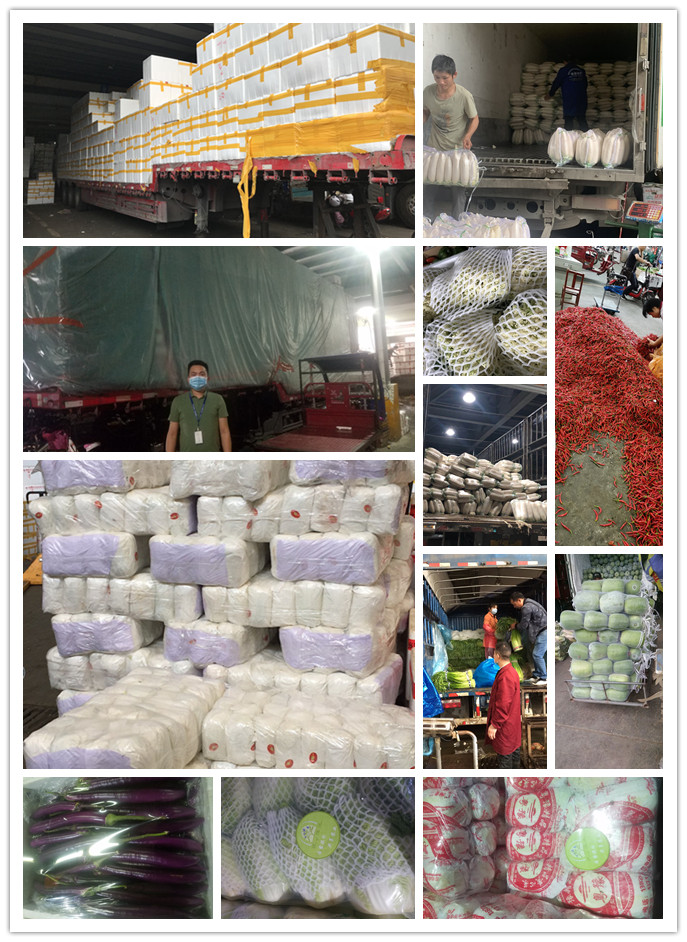 首页| 402cc永利集团中国区官方网站