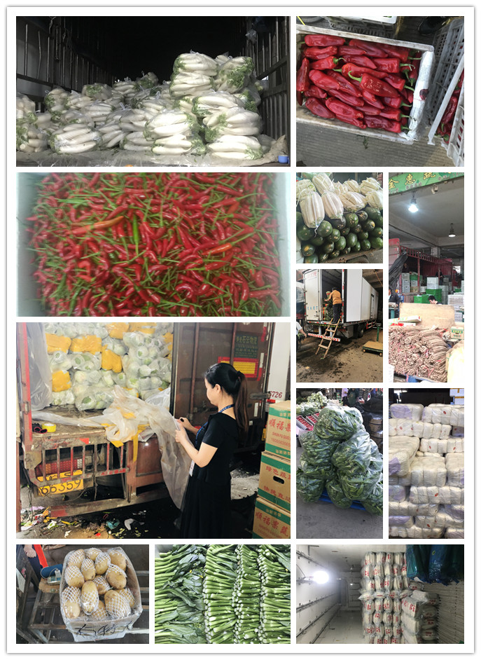 首页| 402cc永利集团中国区官方网站