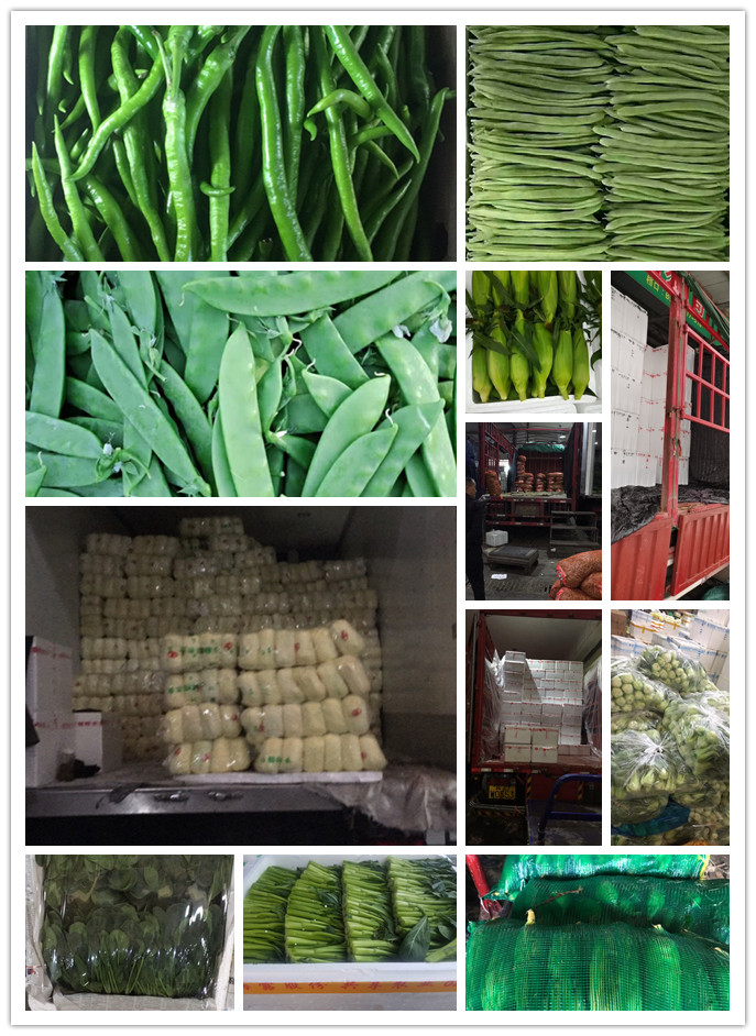 首页| 402cc永利集团中国区官方网站