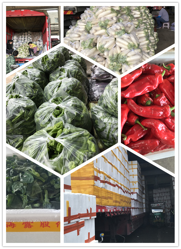 首页| 402cc永利集团中国区官方网站