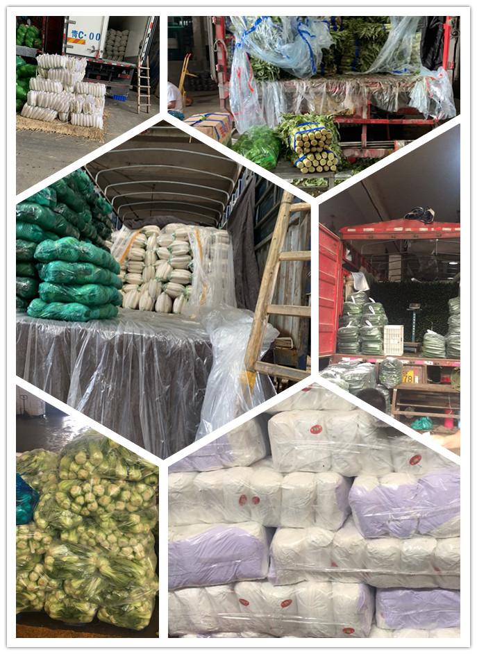 首页| 402cc永利集团中国区官方网站