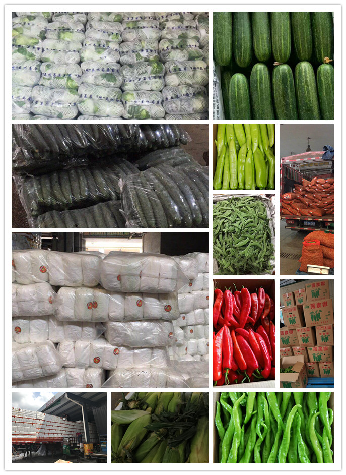 首页| 402cc永利集团中国区官方网站