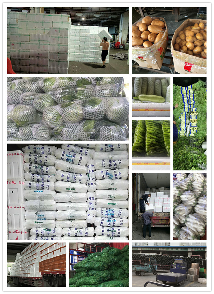 首页| 402cc永利集团中国区官方网站