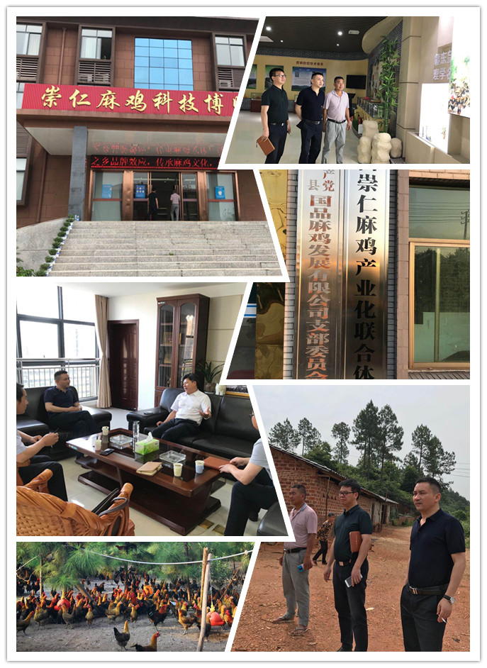 首页| 402cc永利集团中国区官方网站