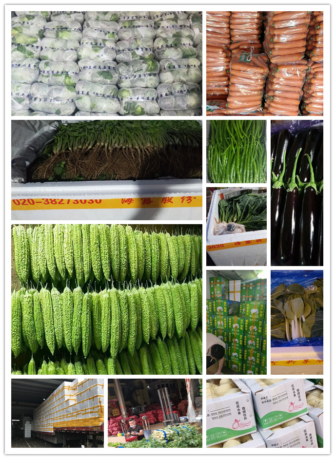 首页| 402cc永利集团中国区官方网站