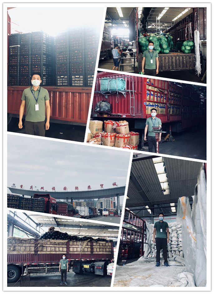 首页| 402cc永利集团中国区官方网站