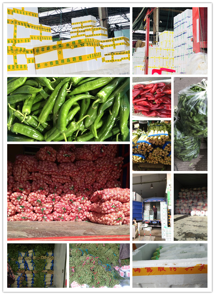 首页| 402cc永利集团中国区官方网站