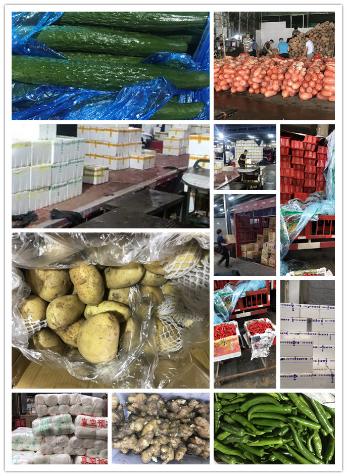 首页| 402cc永利集团中国区官方网站