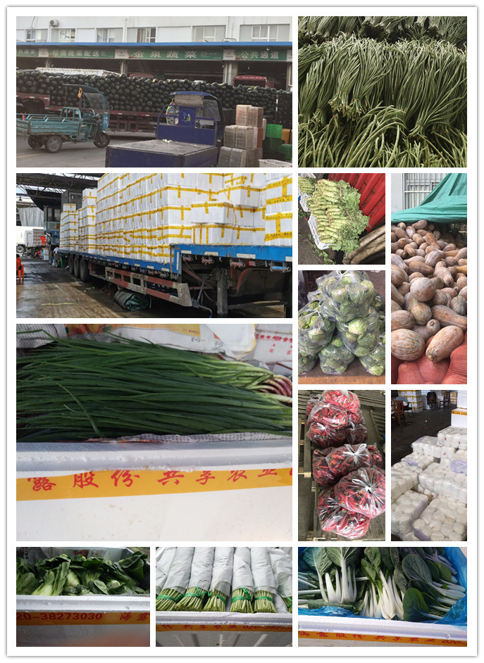 首页| 402cc永利集团中国区官方网站