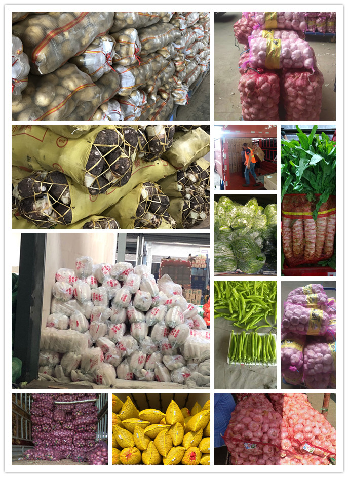 首页| 402cc永利集团中国区官方网站